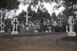Cmentarz wojenny nr 272