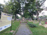 Cmentarz wojenny nr 281