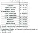 Rozkład jazdy Bielcza - Borzęcin (Jan Kamiński)