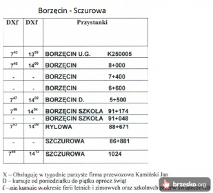 Rozkład jazdy Borzęcin - Sczurowa (Jan Kamiński)