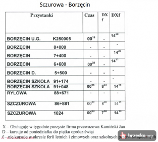 Rozkład jazdy Sczurowa - Borzęcin (Jan Kamiński)